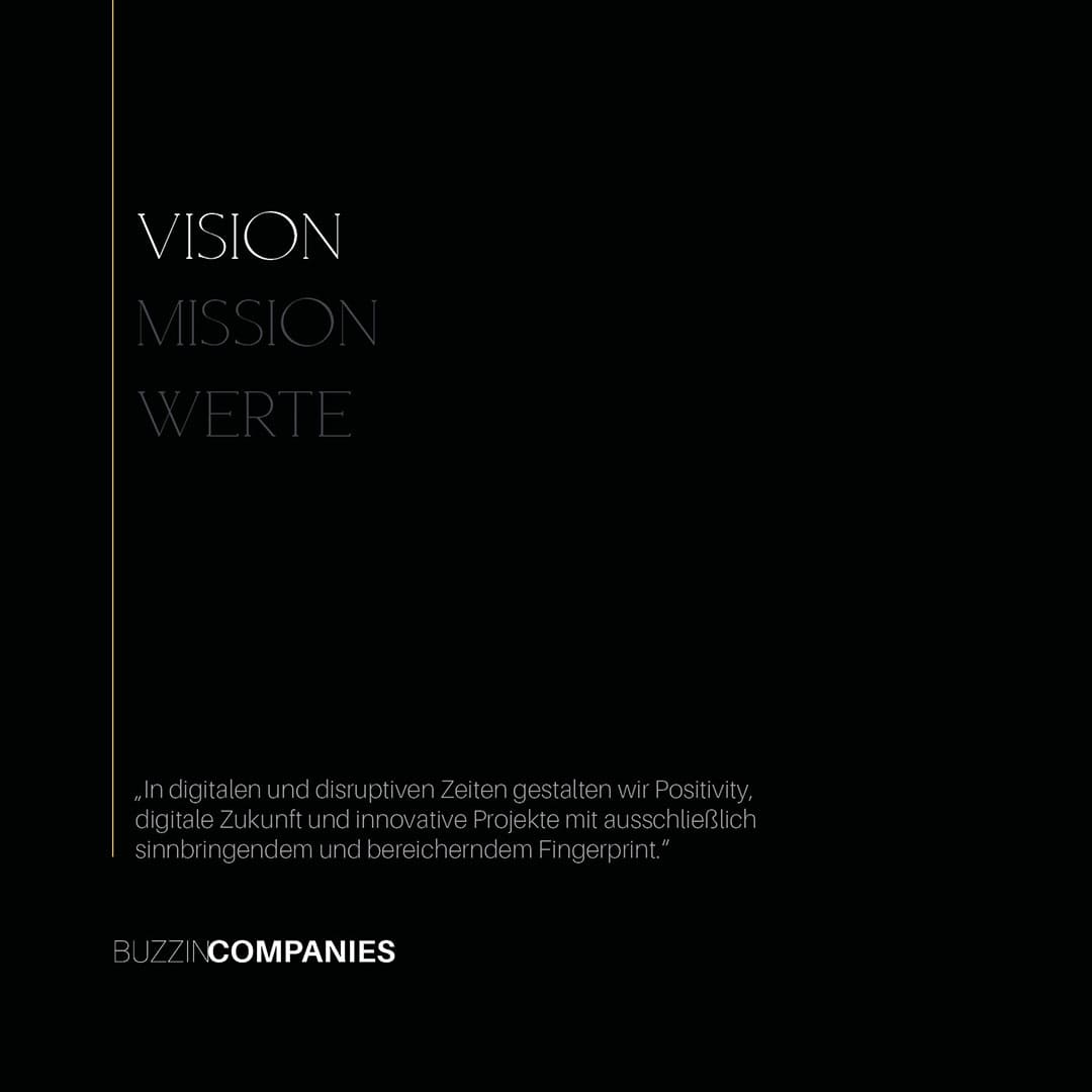 BUZZIN_COMPANYS_WERTE_VISION_MISSION_2023_4