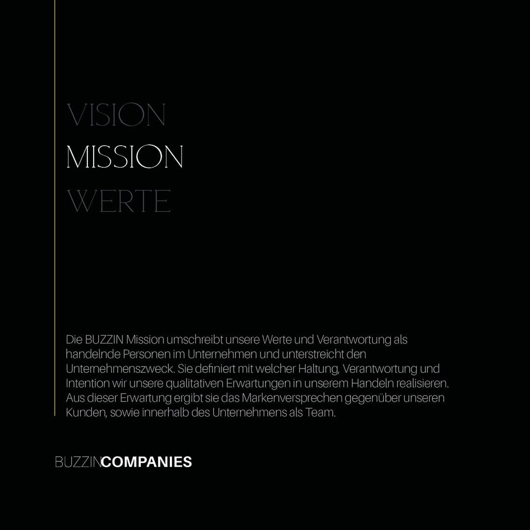 BUZZIN_COMPANYS_WERTE_VISION_MISSION_2023_5