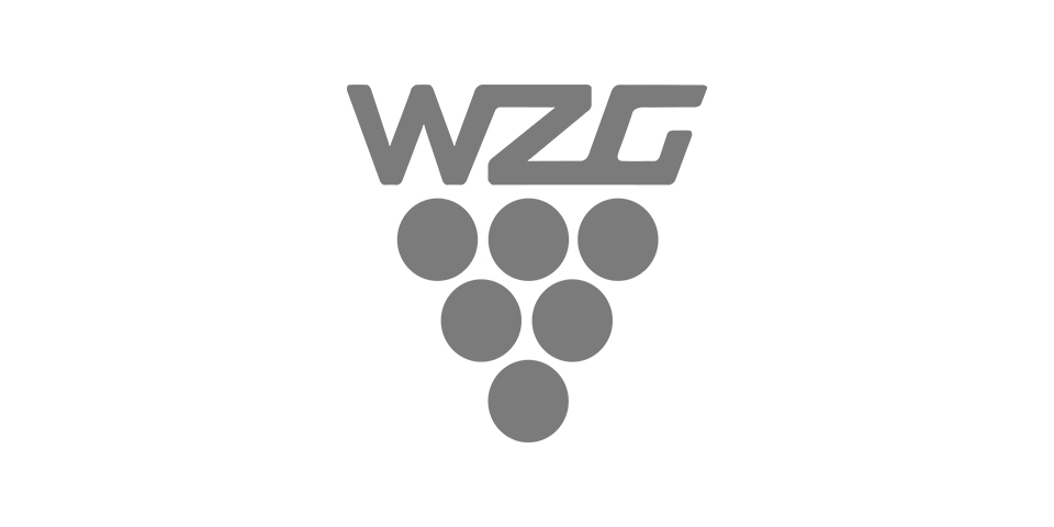 WZG Logo in grauer Schrift auf hellem Hintergrund